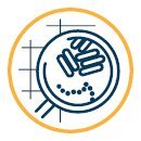 Desinfectiemiddelen En Hygiënische Reinigers